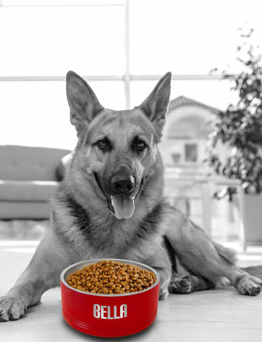 Personalized Pet Bowls