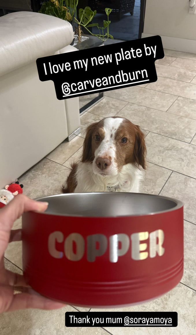 Personalized Stainless Steel Pet Bowls | Custom Engraved Dog & Cat Bowls