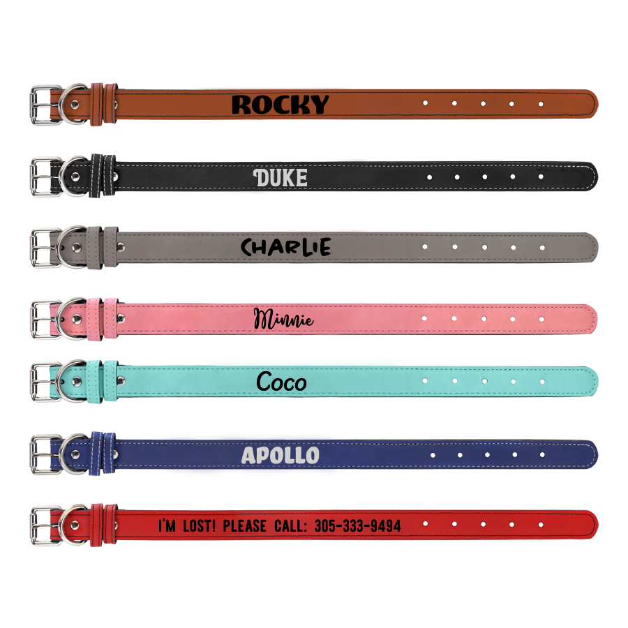 Pet Collars