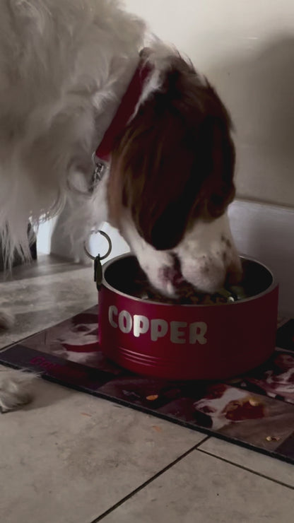 Personalized Stainless Steel Pet Bowls | Custom Engraved Dog & Cat Bowls