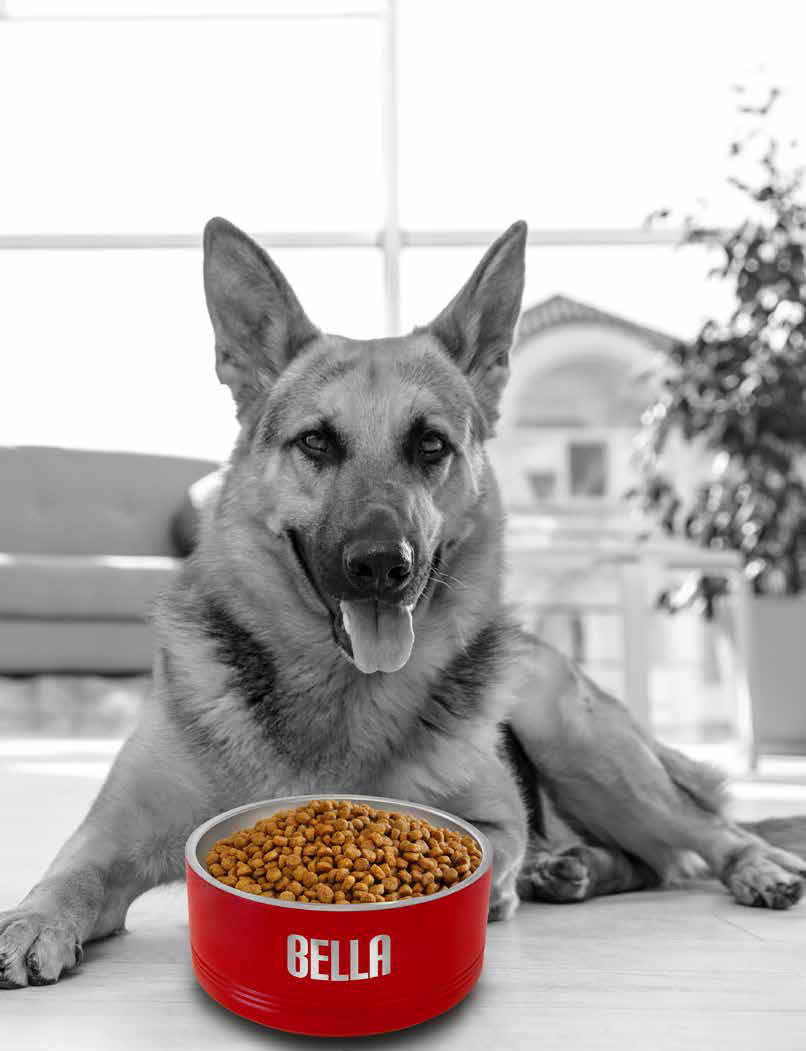 German shepherd lying behind a red steel pet bowl engraved with the name Bella